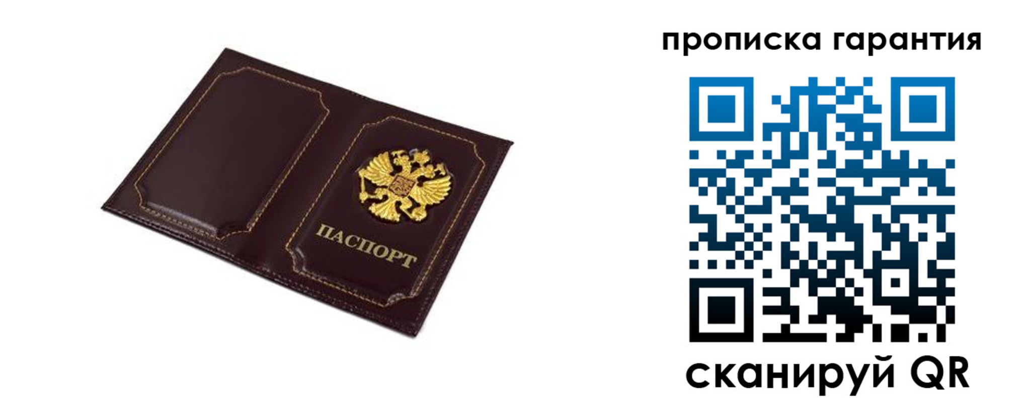 прописка поиск в Александрове