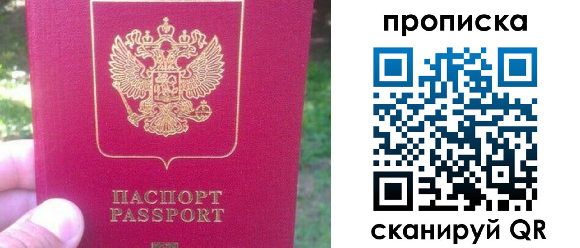 прописка законно в Александрове